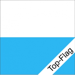 Fahne Luzern LU gedruckt | 80 x 80 cm