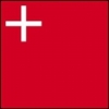 Unterschied der Fahne zu der Wappe des Kantons Schwyz