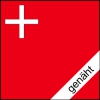 Fahne Schwyz SZ genäht / appliziert | 120 x 120  cm