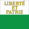 50% Fahne Waadt (VD) gedruckt | 120 x 120 cm | Multi-Flag