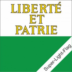 Fahne Waadt (VD) gedruckt | 200 x 200 cm
