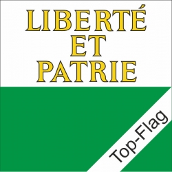 Fahne Waadt VD gedruckt | 80 x 80 cm