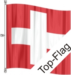 Fahne Schweiz CH gedruckt | 200 x 200 cm