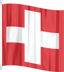 Fahne Schweiz Top-Flag gedruckt | 40 x 40 cm und grösser
