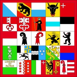 Fahne mit 25 Kantonen in Top-Qualität | 80 x 80 cm