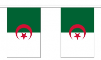 Fahnenkette Algerien gedruckt aus Stoff | 30 Fahnen 15 x 22.5 cm 9 m lang