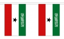 Fahnenkette Somaliland gedruckt aus Stoff | 30 Fahnen 15 x 22.5 cm 9 m lang