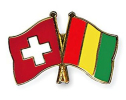 Freundschaftspin Schweiz-Guinea | Grösse ca. 22mm