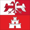 Fahne Gemeinde 6578 Caviano Ehemalige Gemeinde (TI) | 30 x 30 cm und Grösser