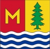 Fahne Gemeinde 8885 Mols Ehemalige Gemeinde (SG) | 30 x 30 cm und Grösser