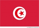 Aufkleber Tunesien | 7 x 9.5 cm