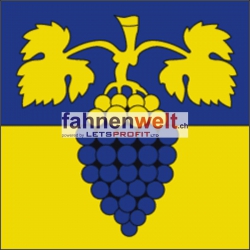 Fahne Kreis Maienfeld (GR) | 30 x 30 cm und Grösser