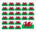 Aufkleber Wales auf Bogen | 12.5 x 10.5 cm