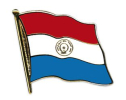 Flaggen Pin Paraguay geschwungen | ca. 20 mm