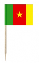 Mini-Fahnen Kamerun Pack à 50 Stück | 30 x 40 mm