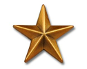 Sternen Pin goldfarben | ca. 15 mm