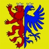 Fahne Region Grafschaft Toggenburg (alt) (SG) | 30 x 30 cm und Grösser