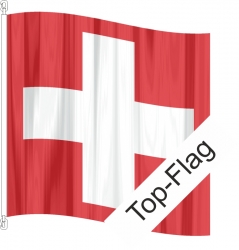 Fahne Schweiz CH gedruckt | 80  x 80 cm