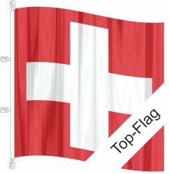Fahne Schweiz CH gedruckt | 500 x 500 cm