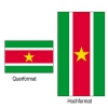SURINAM Fahne in Top-Qualität gedruckt im Hoch- und Querformat | diverse Grössen