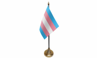 Transgender neues Design Tisch-Fahne gedruckt | 15 x 10 cm