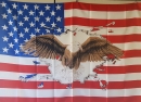 80% USA mit Adler gedruckt im Querformat | ca. 100  x 140 cm