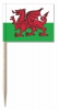 Mini-Fahnen Wales Pack à 50 Stück | 30 x 40 mm