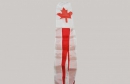 Kanada Windsack | Durchmesser 14.5 cm x 150 / 160 cm Länge