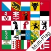 Fahne mit 25 Kantonen Multi-Flag | ab 100 x 100 cm