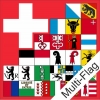 Fahne mit allen Kantonen und CH Kreuz Multi-Flag | ab 100 x 100 cm