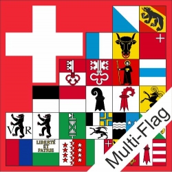 Fahne mit allen Kantonen und CH Kreuz Multi-Flag | ab 100 x 100 cm