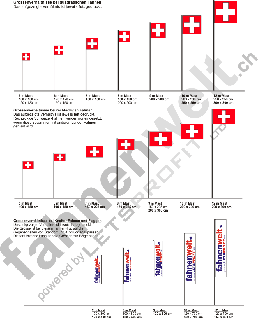 verschiedene Größen Premiumqualität Fahne Flagge Muttenz Schweiz 